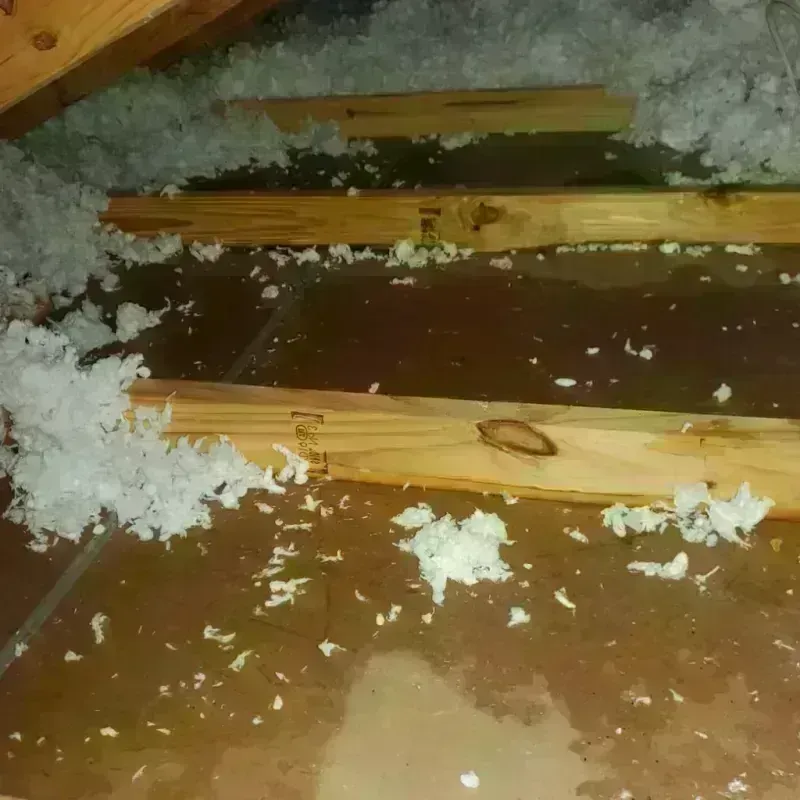 Attic Water Damage in National Park, NJ